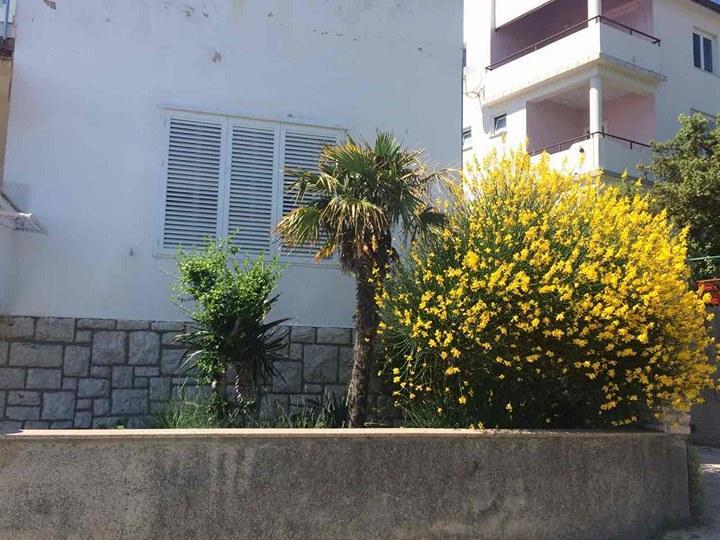 Apartment Ella Banjol Εξωτερικό φωτογραφία